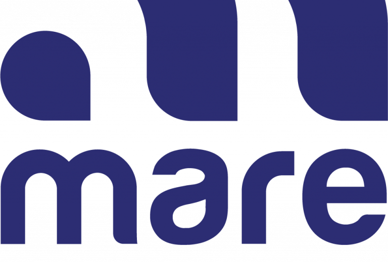 Mare group